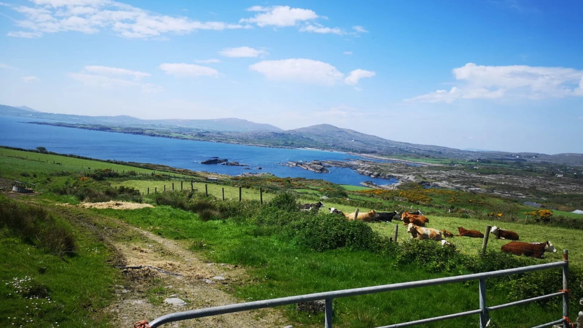 Quiet roads in Ireland