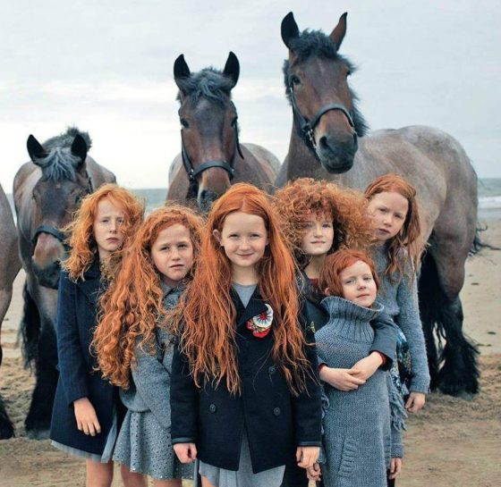 Why are many redheads in Ireland? | Ireland Chauffeur Travel