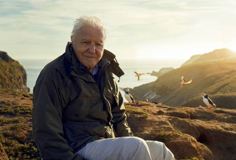 Wild Isles with David Attenborough. A True Look at Ireland’s Wildlife Spectacles.