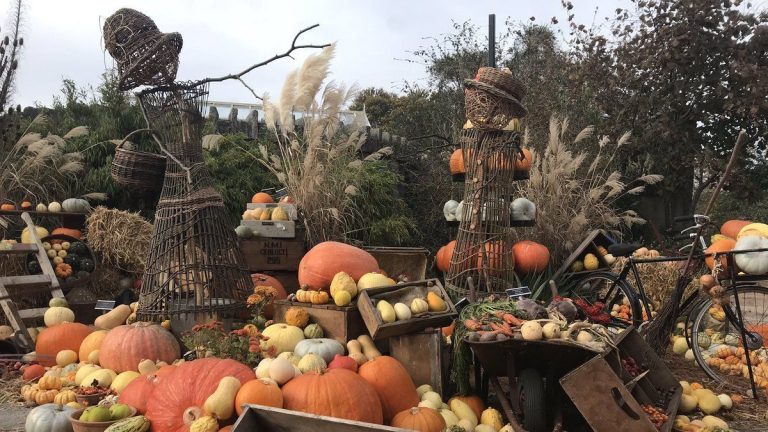 Autumn shades, crackling fires and pumpkins galore.